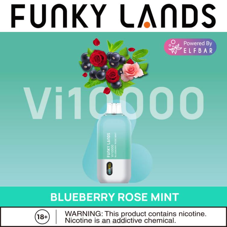 ELFBAR Funky Lands Disposable Vape Vi10000 Puffs 866HL163 Blueberry Rose Mint
